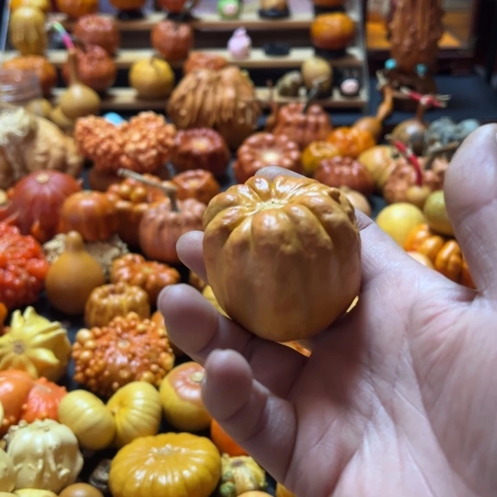 聚宝盆双色墨西哥葫芦