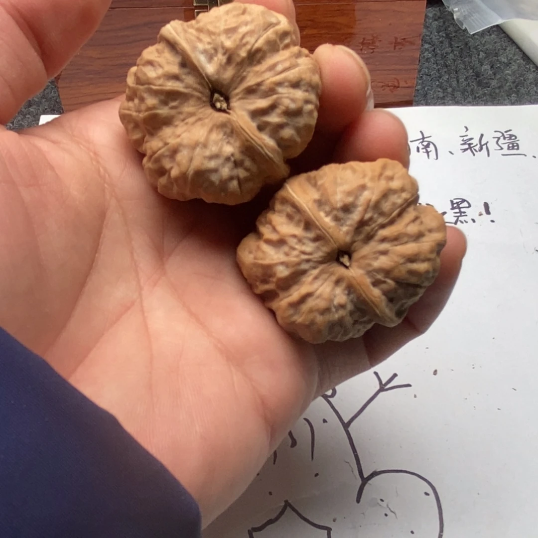 哟***啊好的我真的是太喜欢了一