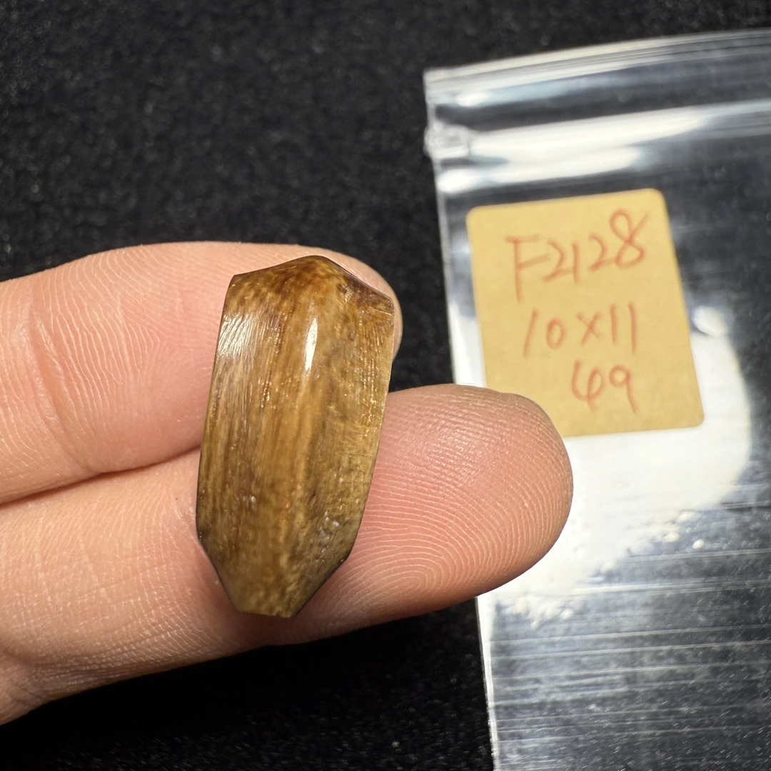 F2128猛犸象牙咖鲨鱼背三通尺寸10*11微瑕疵