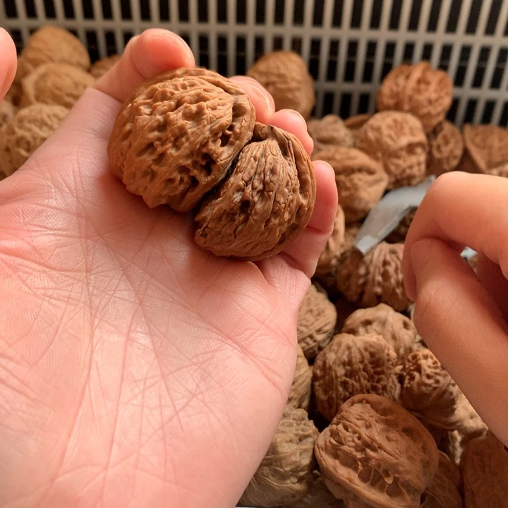 把件文玩核桃白狮子