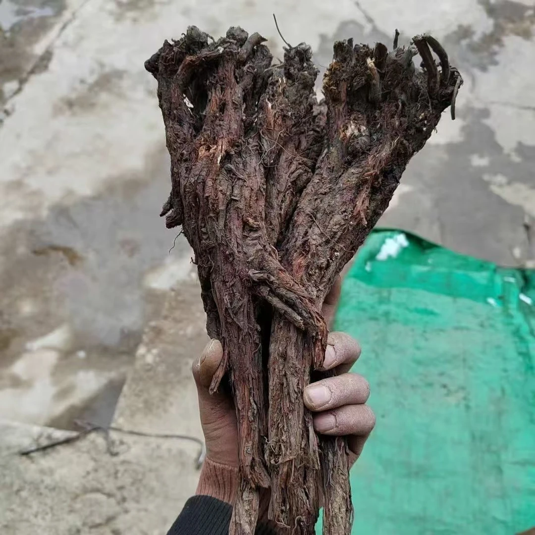 甘肃非种植整根丹参干货可滋补泡茶泡酒中药材