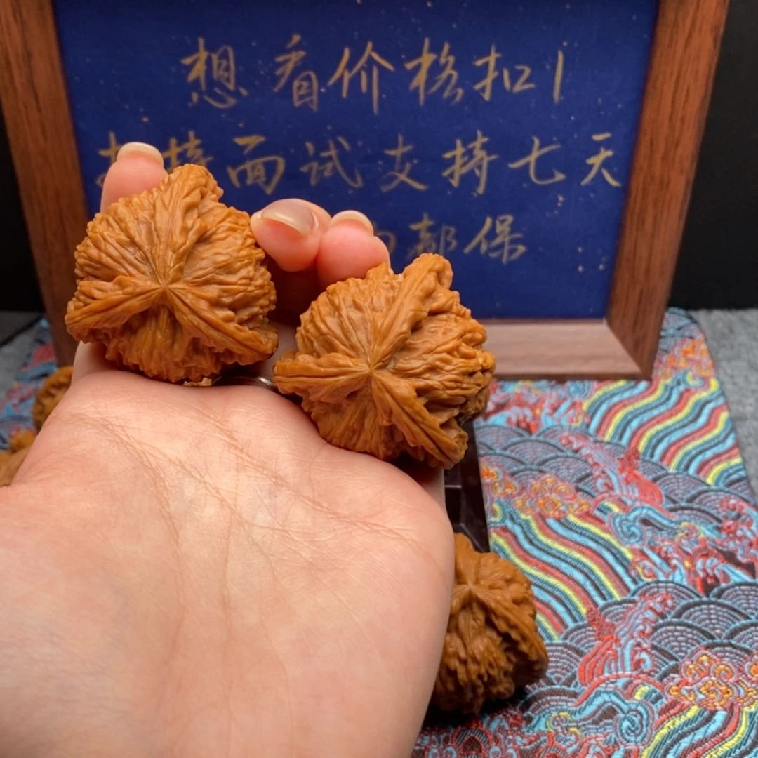 【闪购商品】十*。白狮