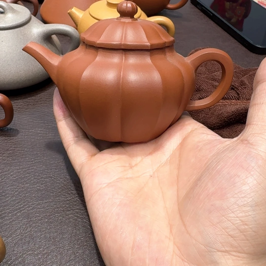 茶壶紫砂知**叙哈哈哈哈哈哈