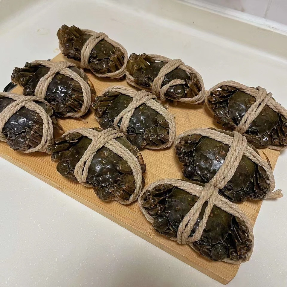 陈嬢嬢【公3.5两 母2.5两活蟹】江苏太湖大闸蟹 4/8/12只 只发川渝