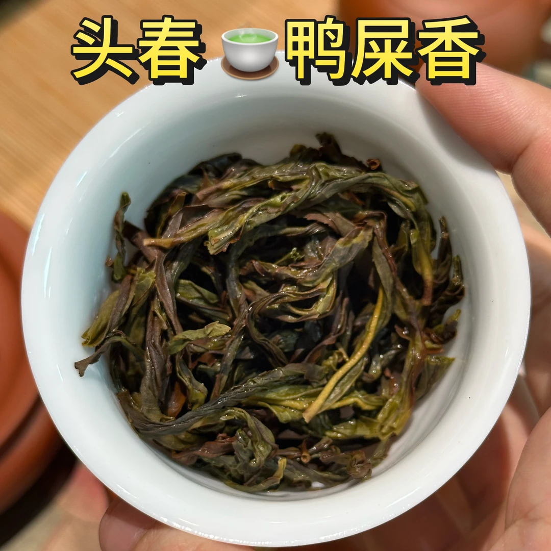【坪坑头鸭屎香】2025头春茶原产地奶韵明显山韵独特