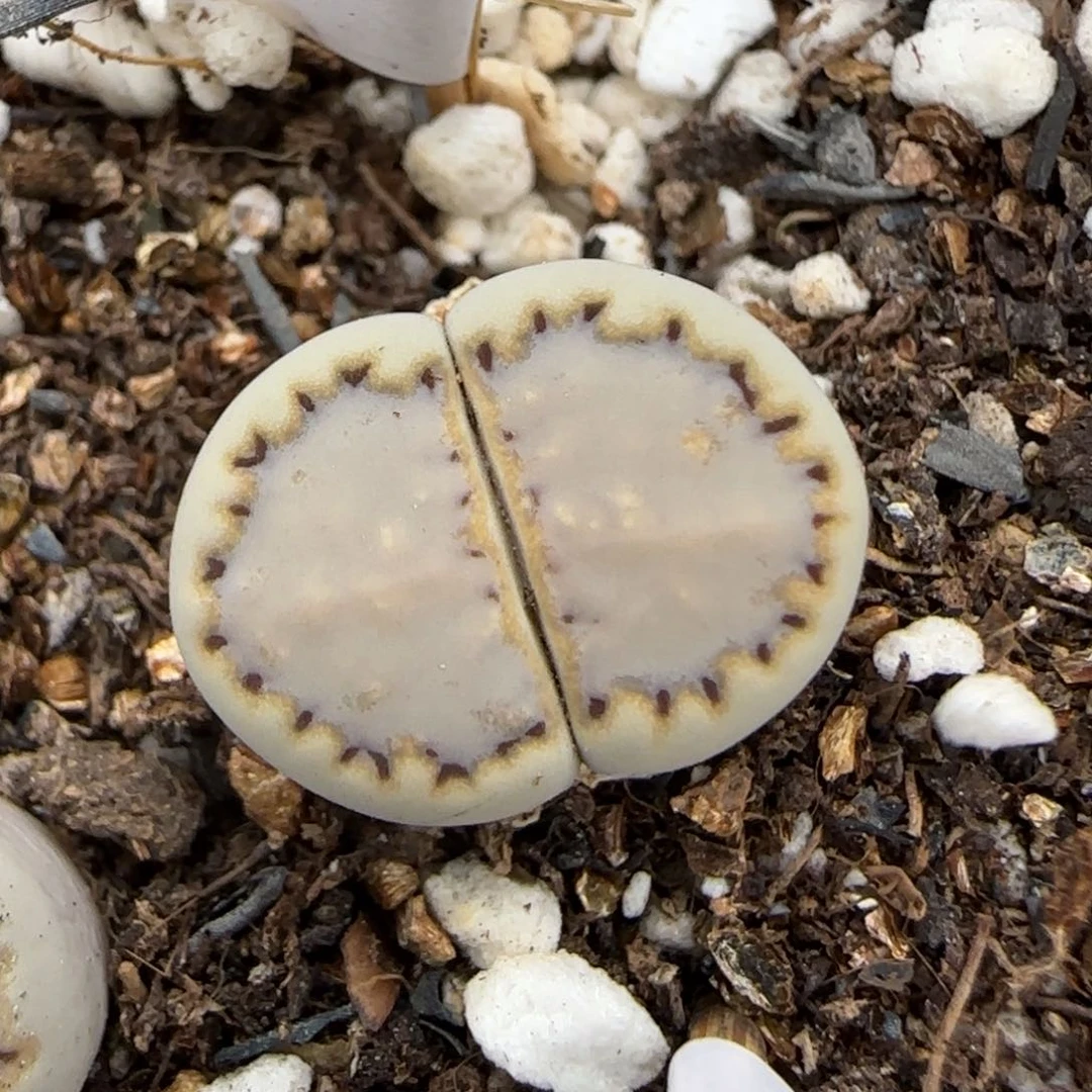 7.9。.6。  9078。