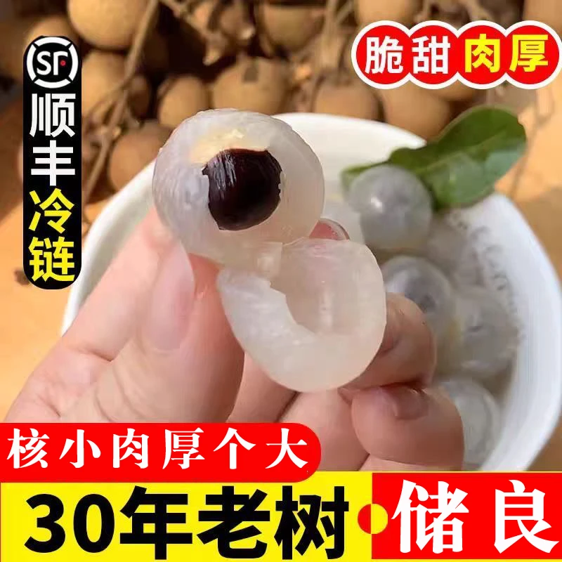 【顺丰冷链】精品储良龙眼 新鲜现摘清甜肉厚桂圆当季水果净重2-7斤
