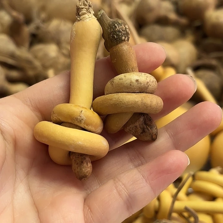 小***出一把葫芦便宜漏了