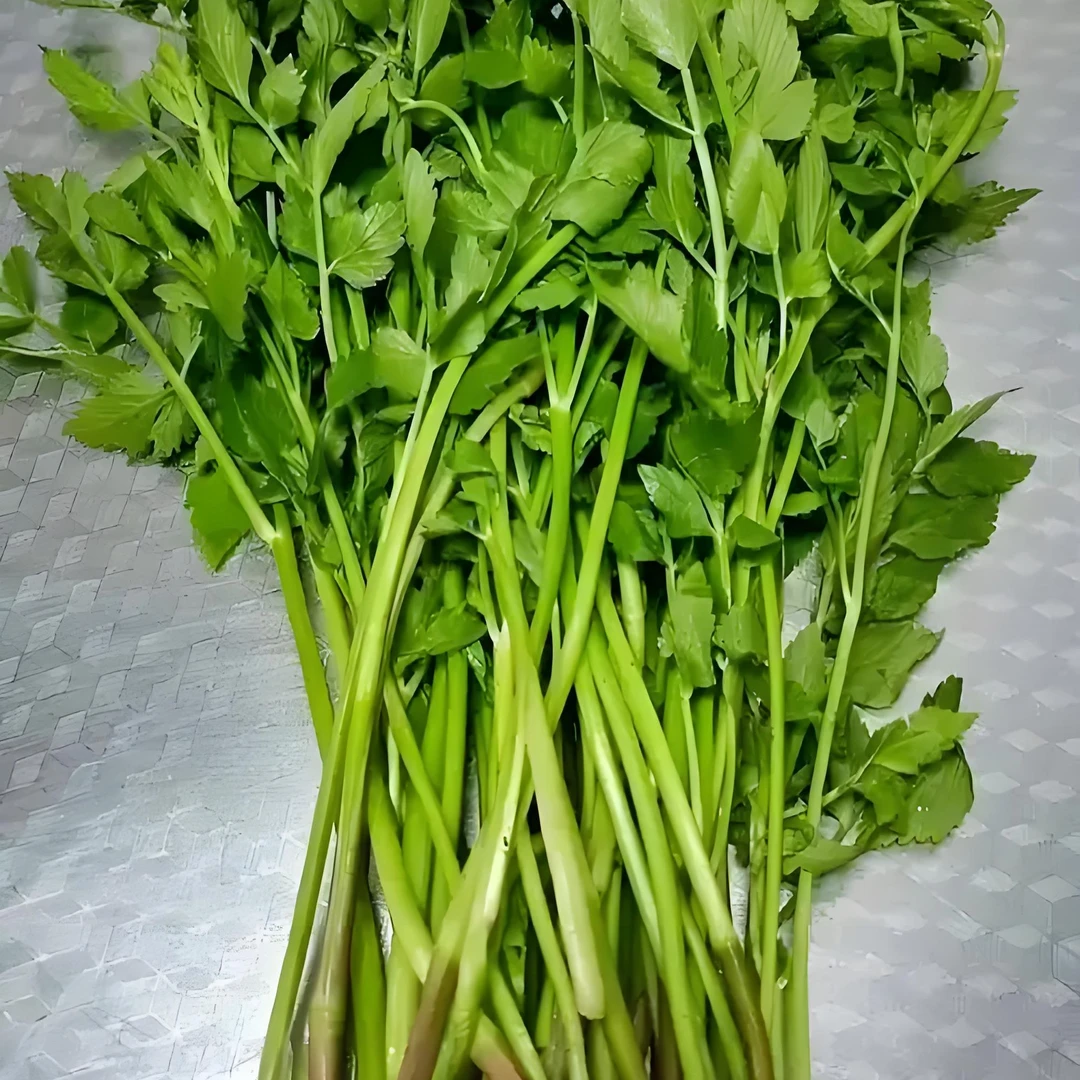 云南德宏芒市水芹菜