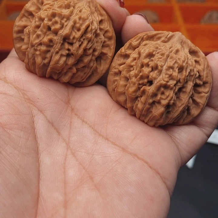 核桃汉高楼41尺核桃