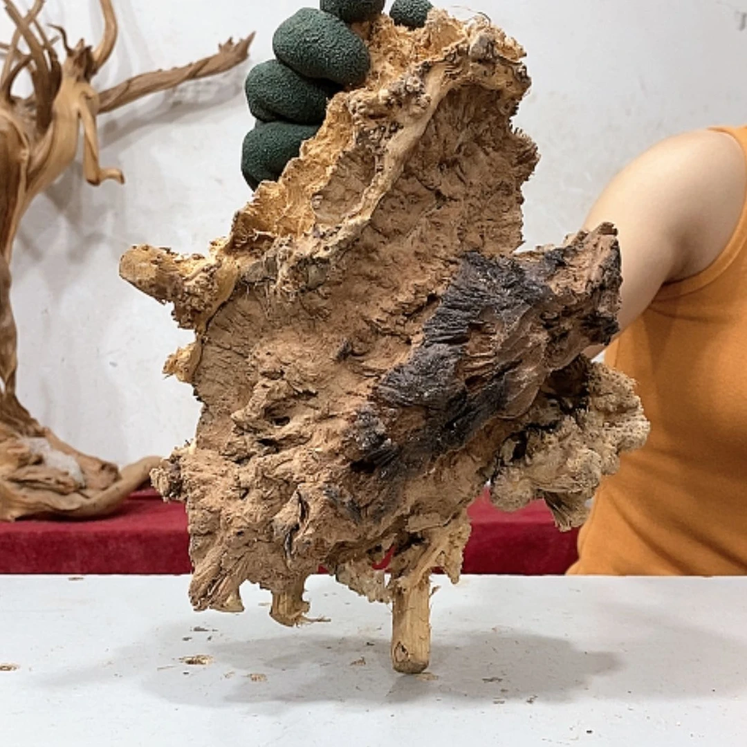 【闪购商品】柏木用****8我们都是好孩子啊