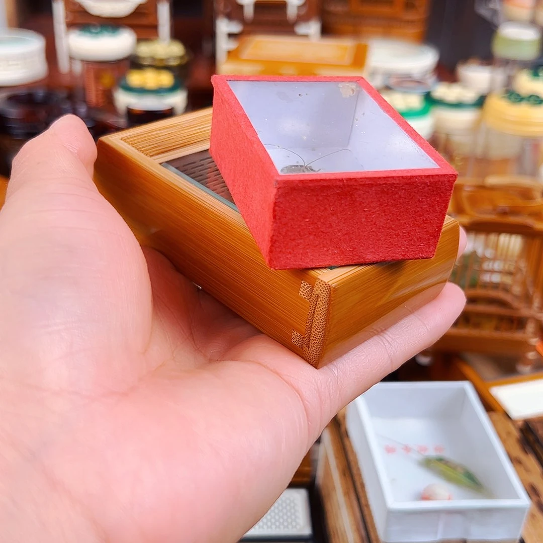 竹福利款老竹音箱款竹林金钟盒➕竹蛉