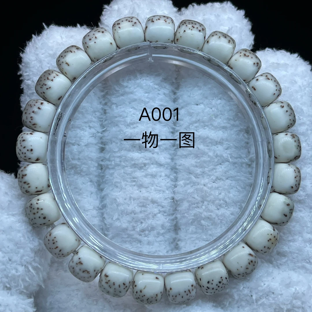 七熹·原生态98星月河豚