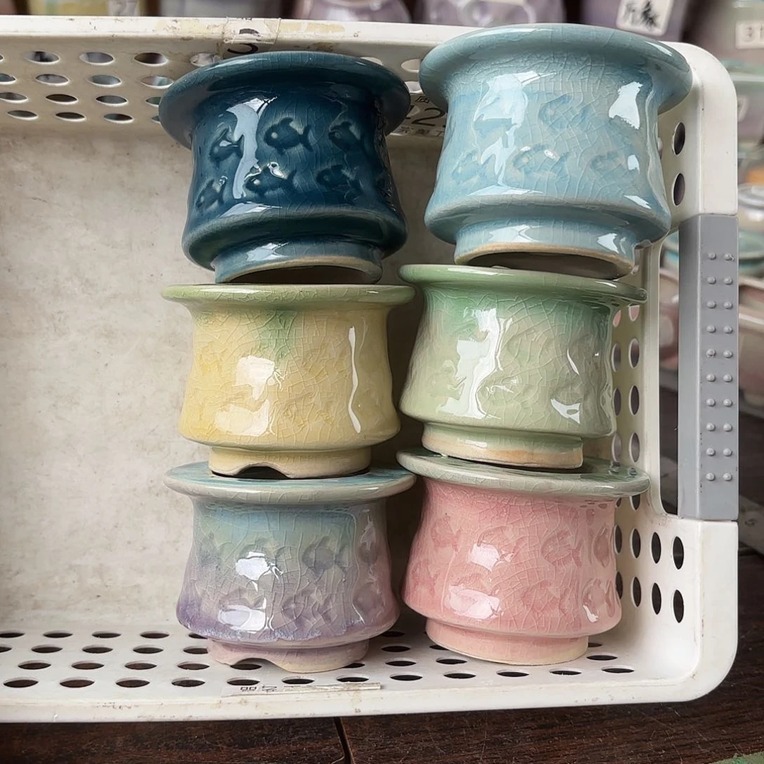 量货/口4-6高5深浅搭配发6个