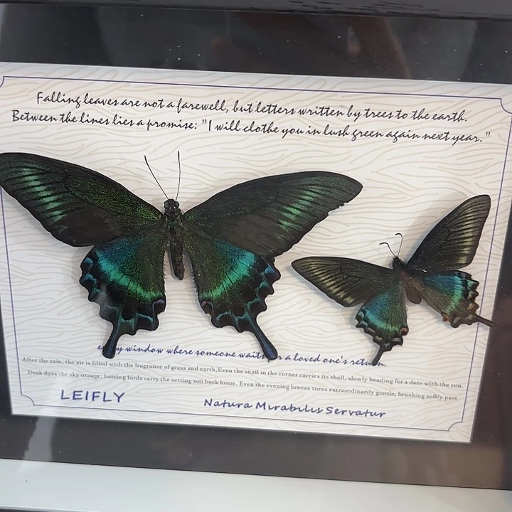 十寸新背景绿带春夏