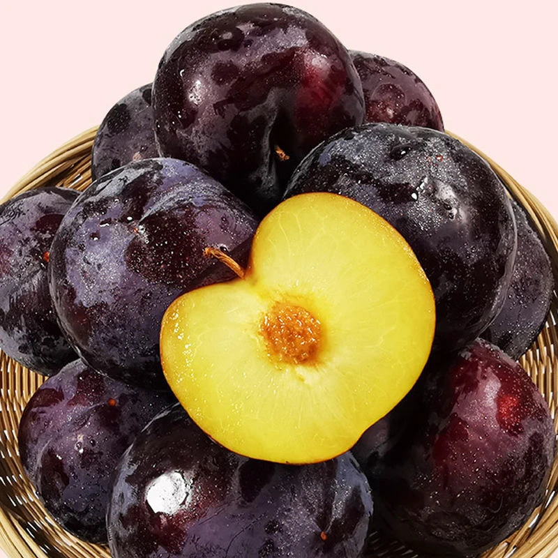 黑布林【净重4.5斤】现货现发新鲜河南硬吃酸脆现摘水果放软大李子