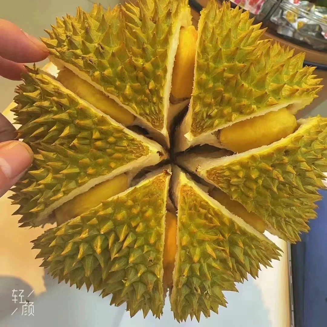 九号金枕榴莲核小3-7斤鲜榴莲金枕泰国