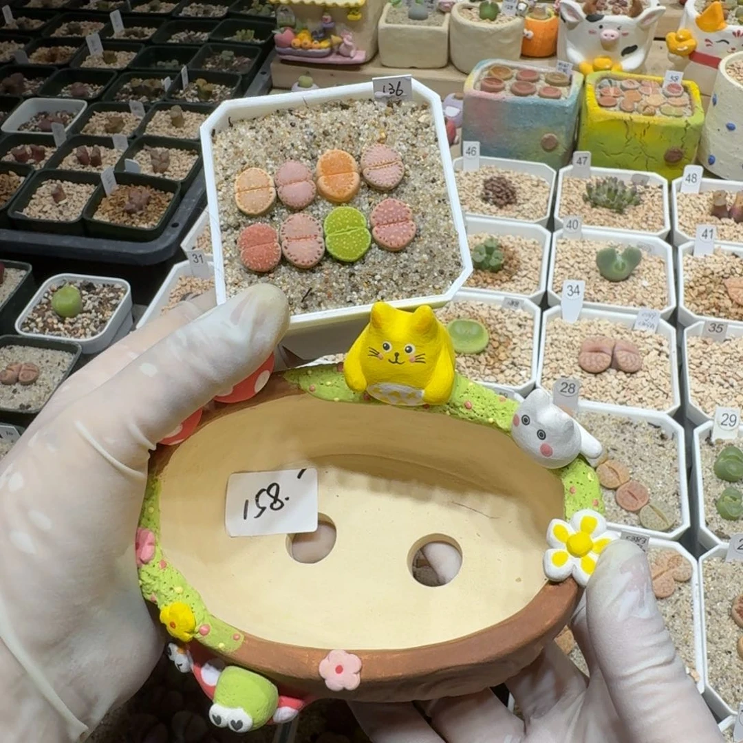 红陶5***40126-56盆盆盆