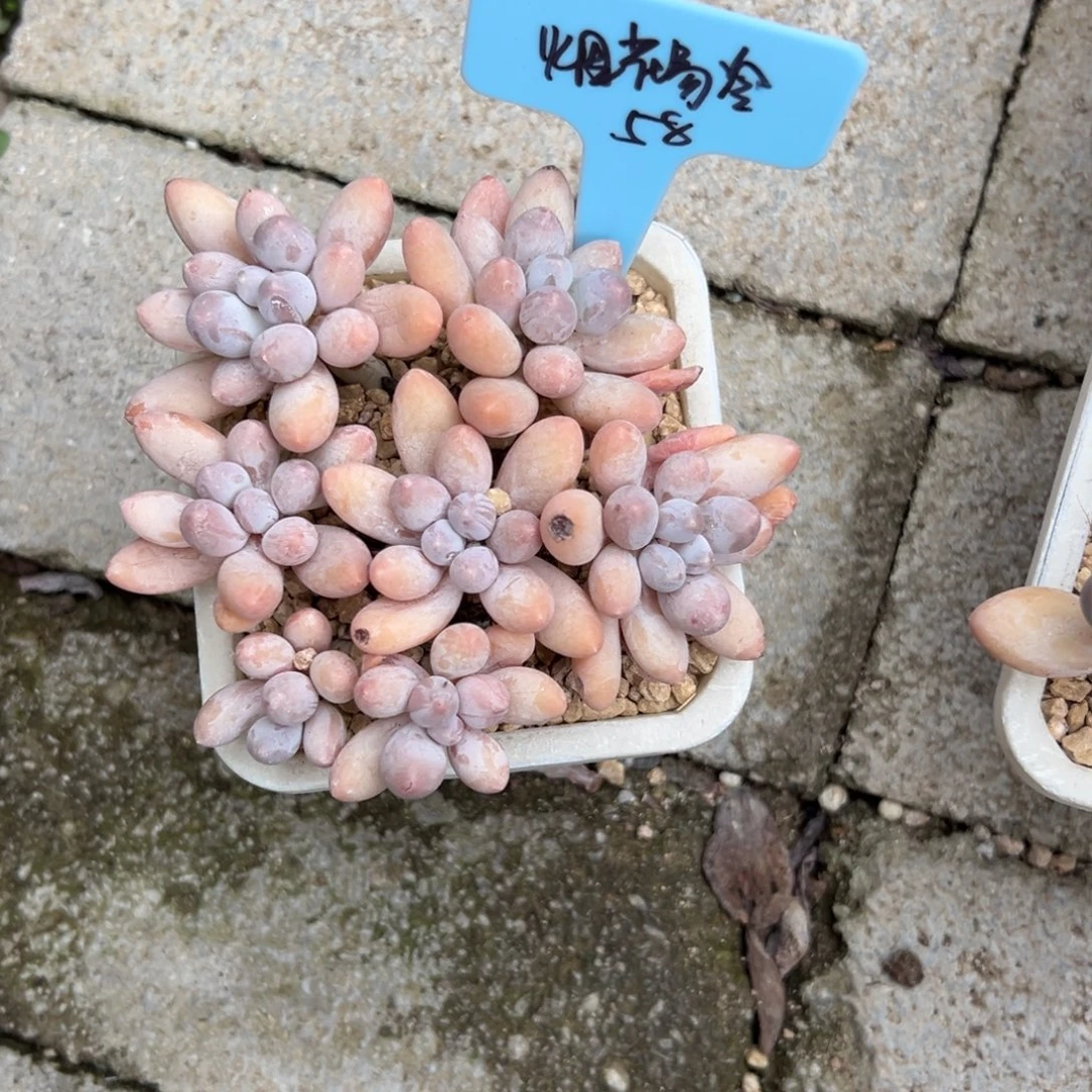 烟***冷111111111111111111111