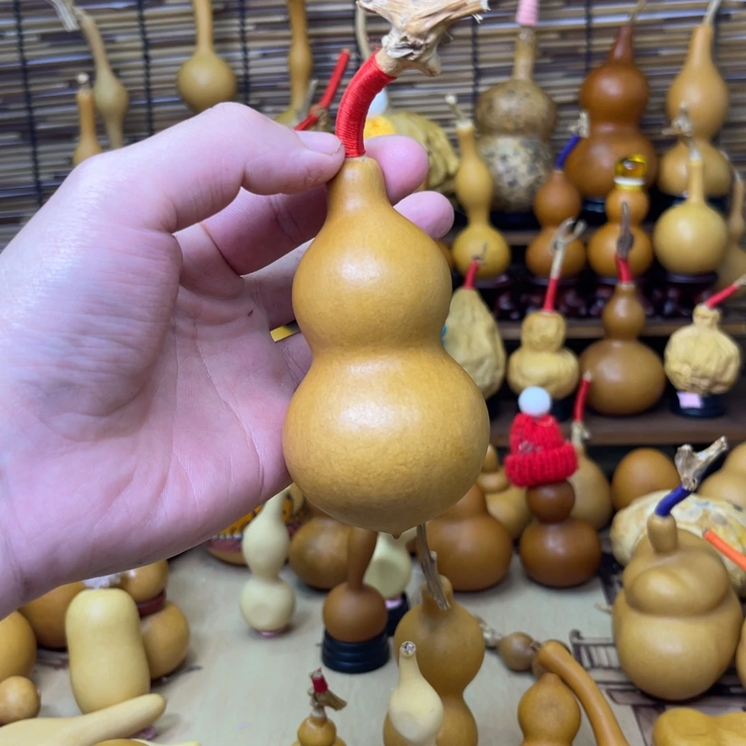 皮巨厚响籽大蚂蚁10