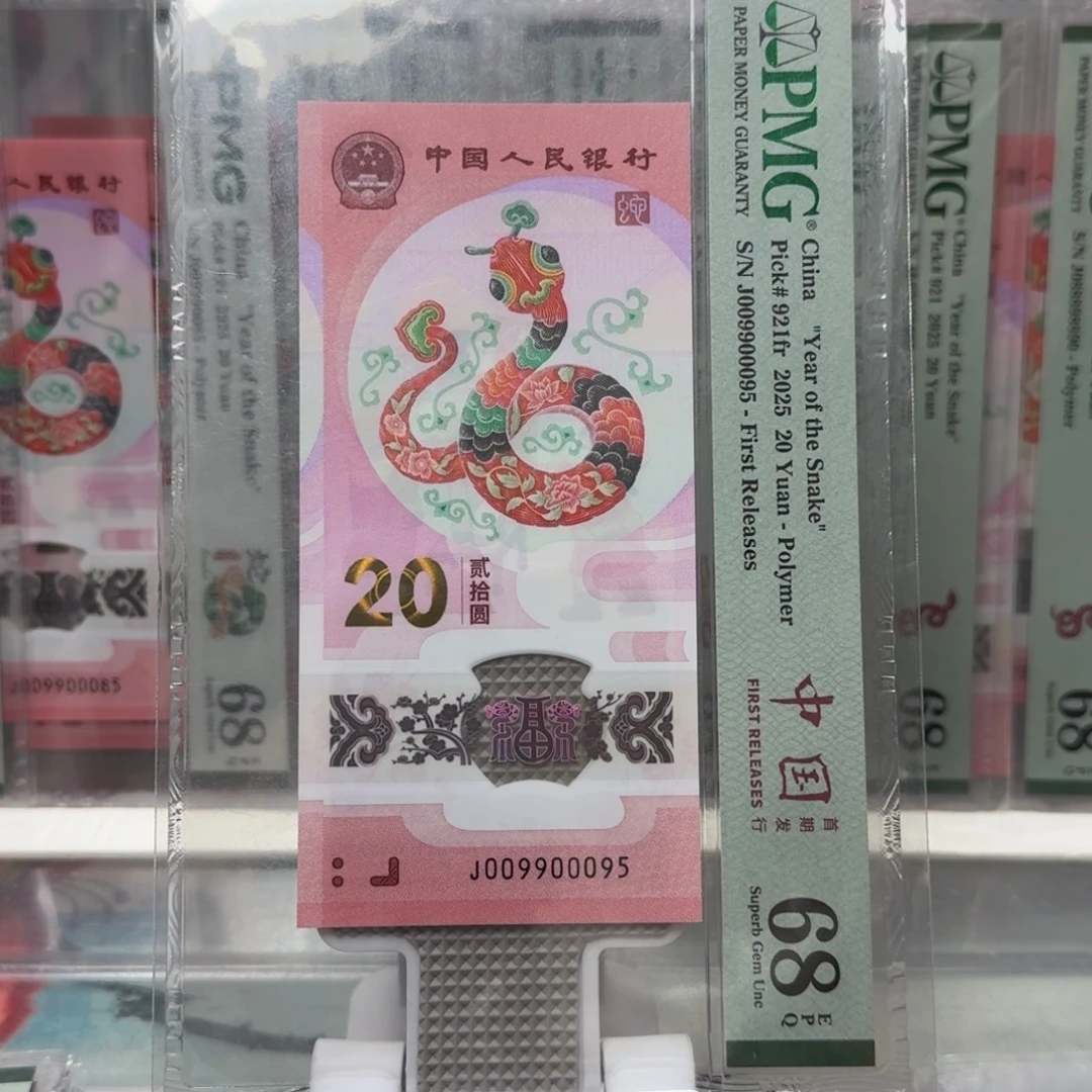 起***点塑料蛇钞J009900095