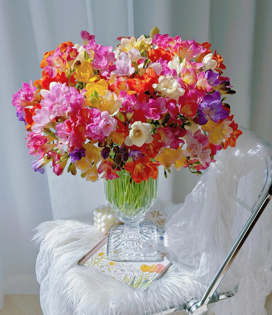 优选品质[香雪兰]小苍兰水培逼真展示鲜切花顺丰花束鲜花高级感