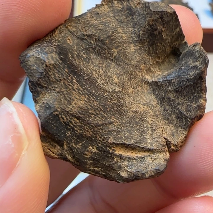 摆件沉香海南沉水黎母山3.6克