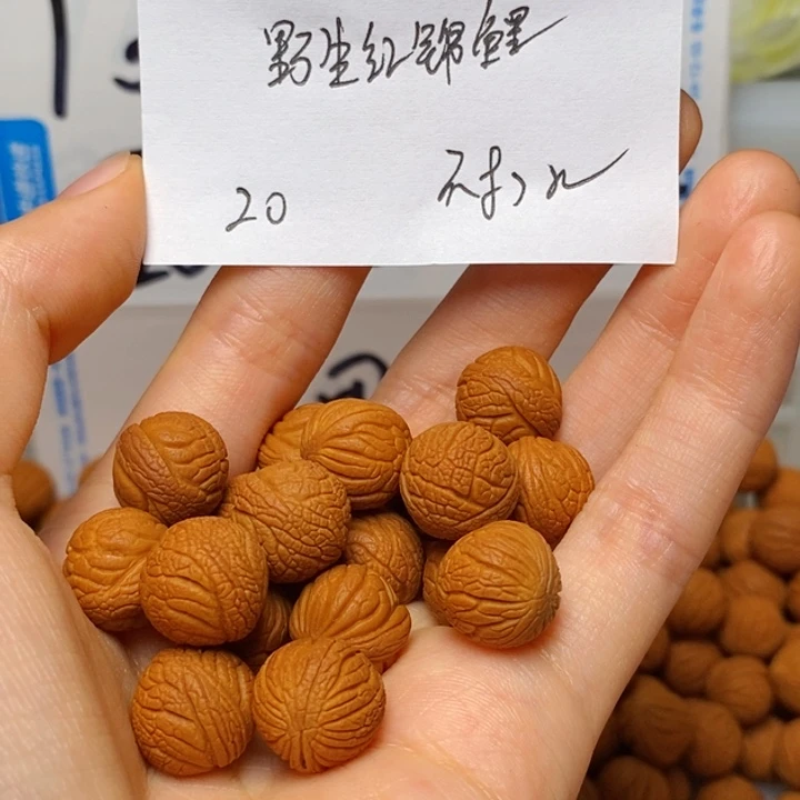 君***兰桃核手串12mm左右野生红锦鲤20颗（不打孔）