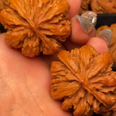 文玩核桃把件秦岭山脉核桃