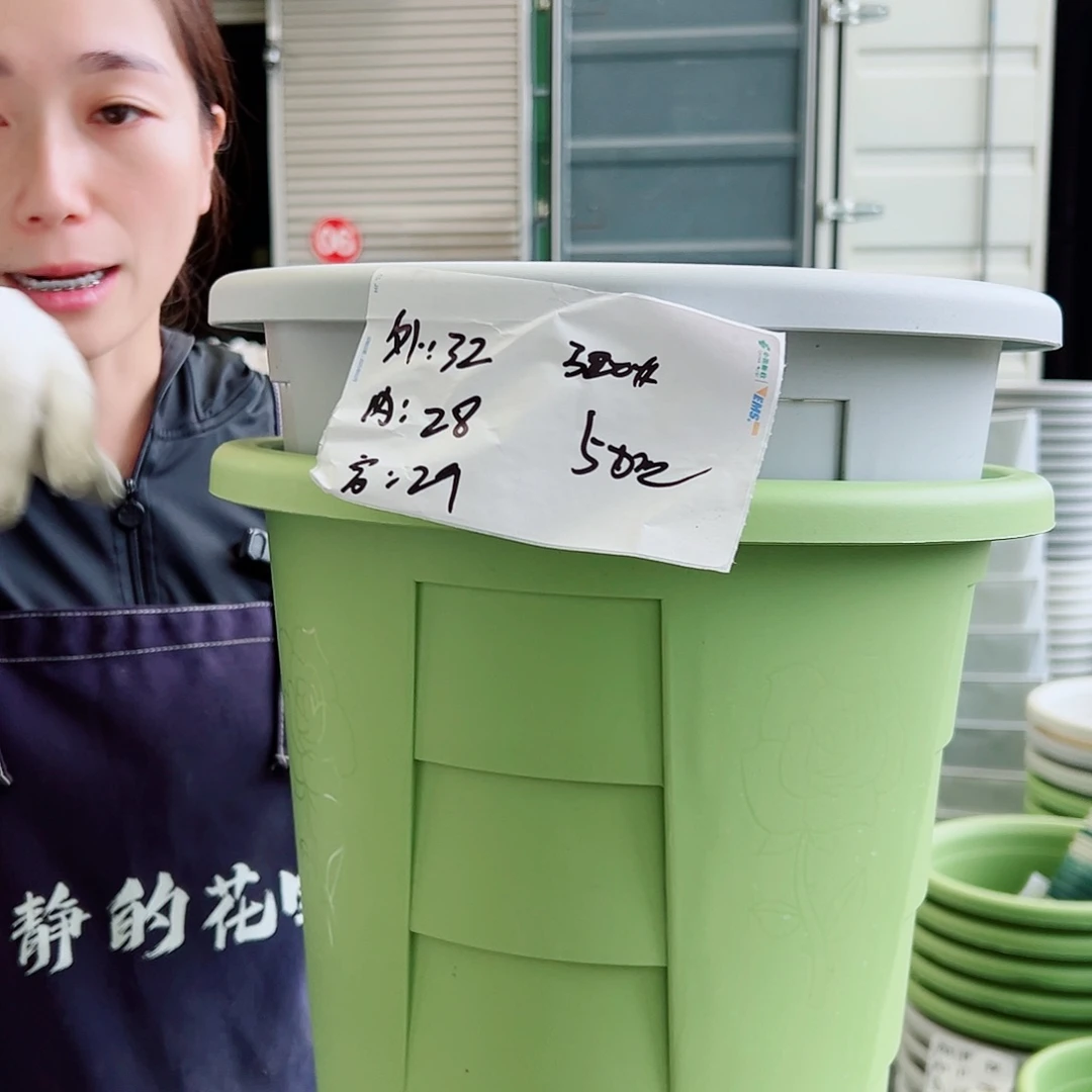 玫瑰盆320#果绿5个无托
