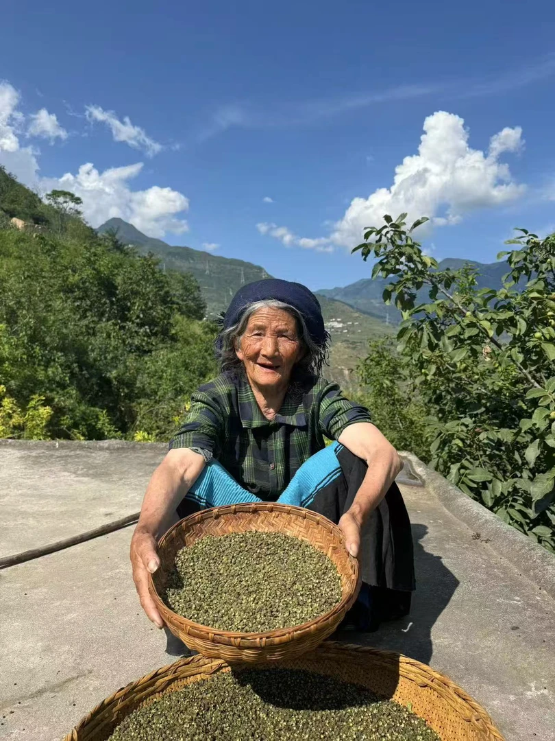 2025年哈日家的大凉山青花椒1斤装新货