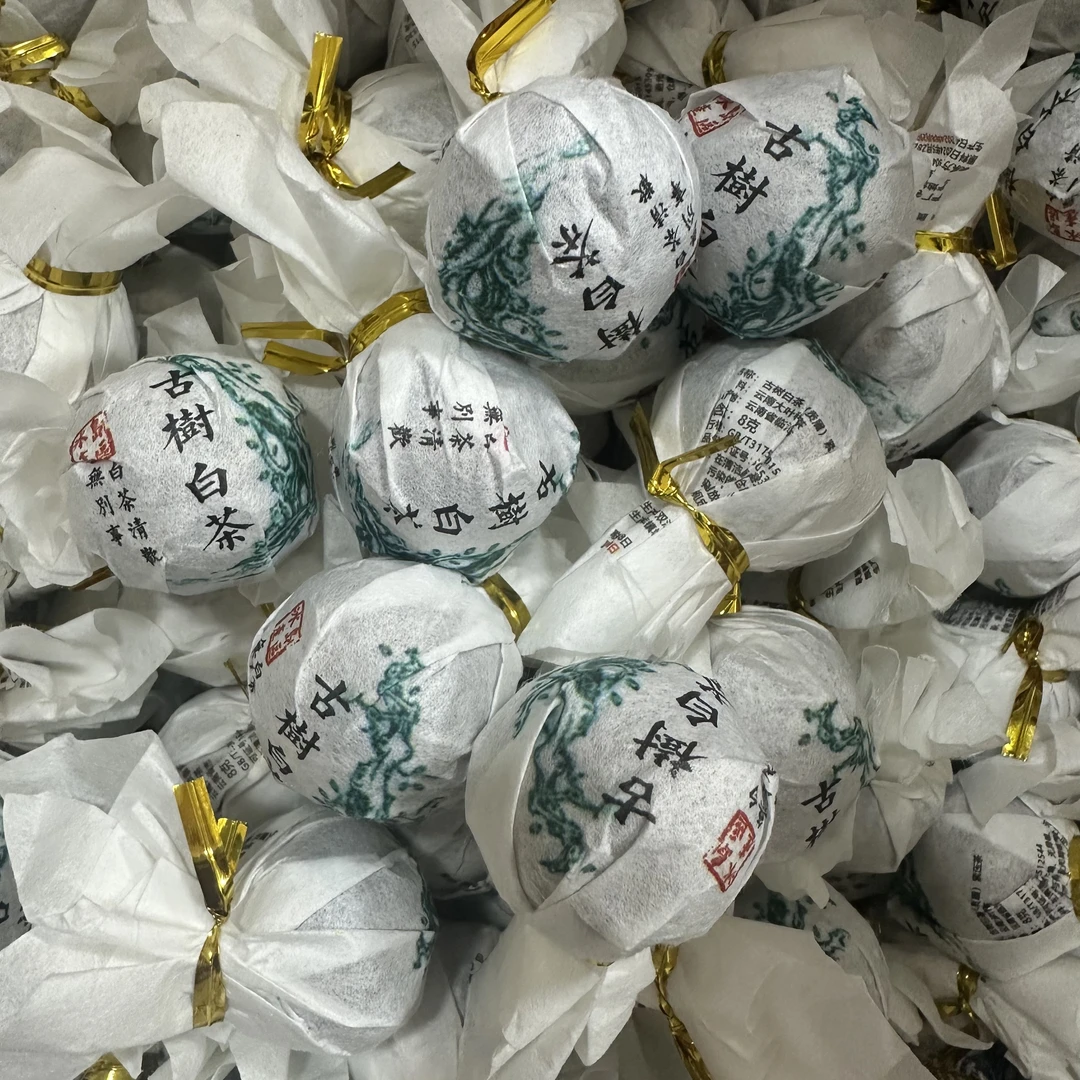 2024年 古树白茶6颗