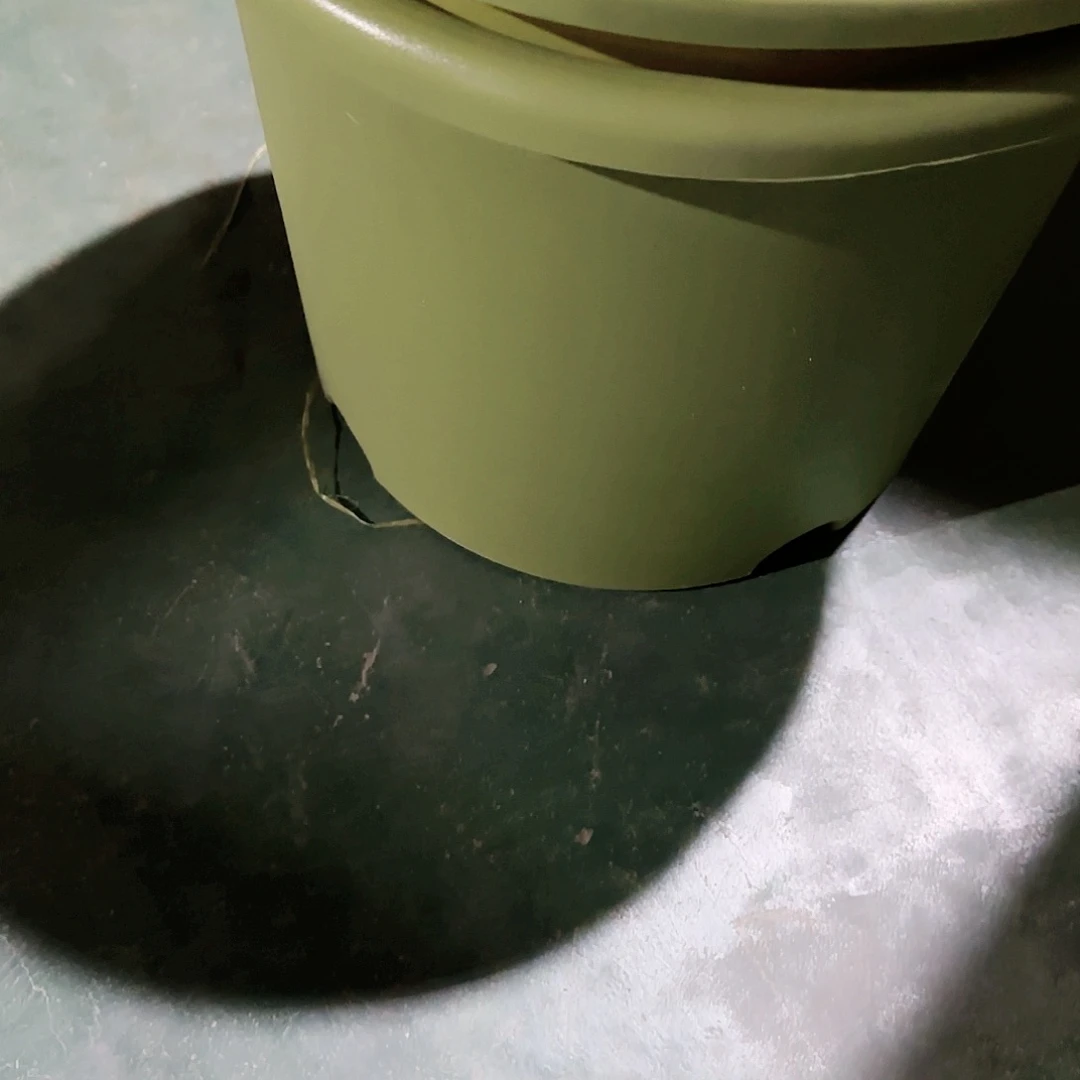 树脂四季盆6#无拖果绿5