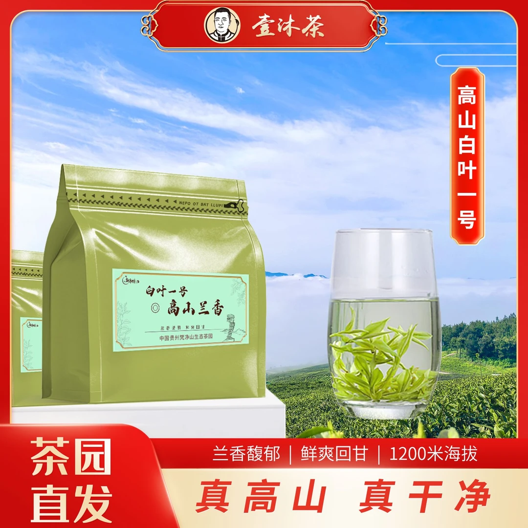 【买2赠1，买5赠2】今年高山云雾兰香白茶 白叶一号树种 甄选干净茶