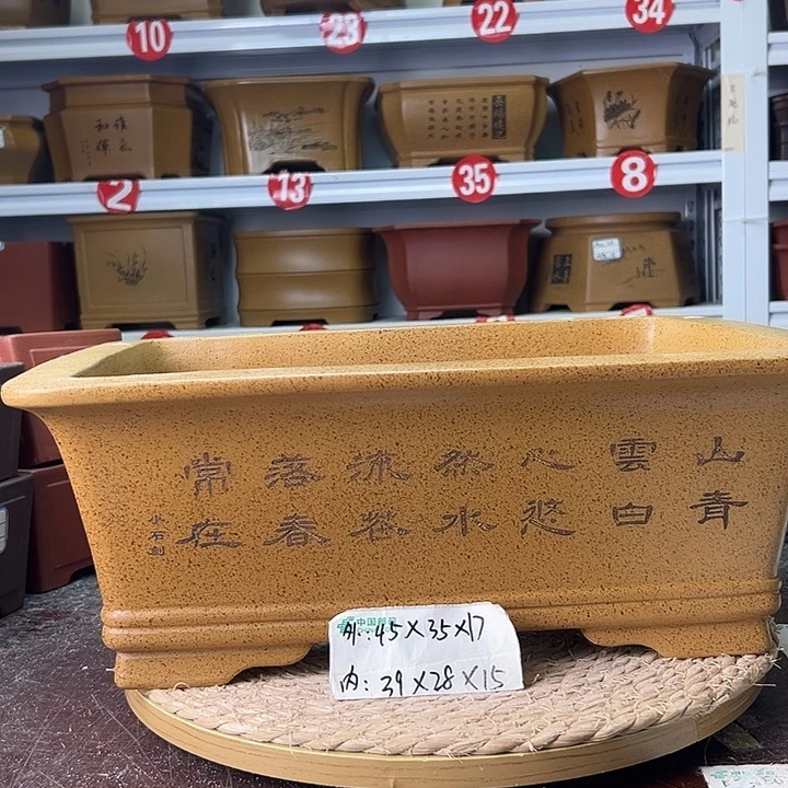 紫砂花盆蛇年大吉