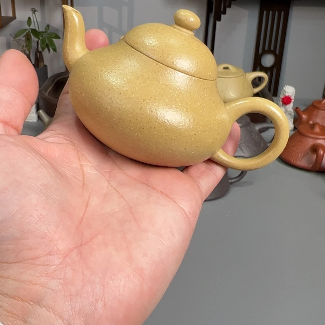 南***塘紫砂茶壶梨皮梨形主播自用