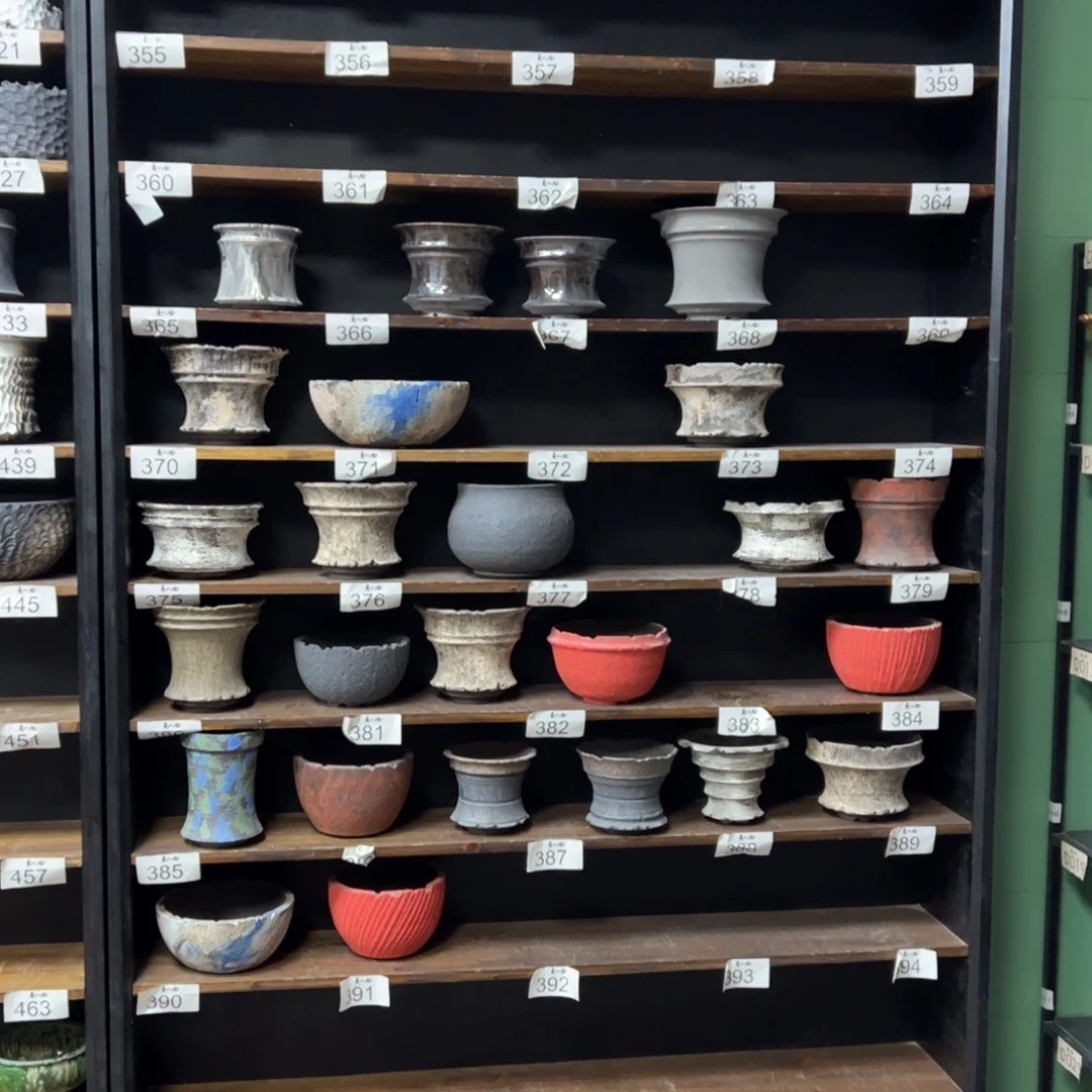 有喜欢的把编号打在公屏