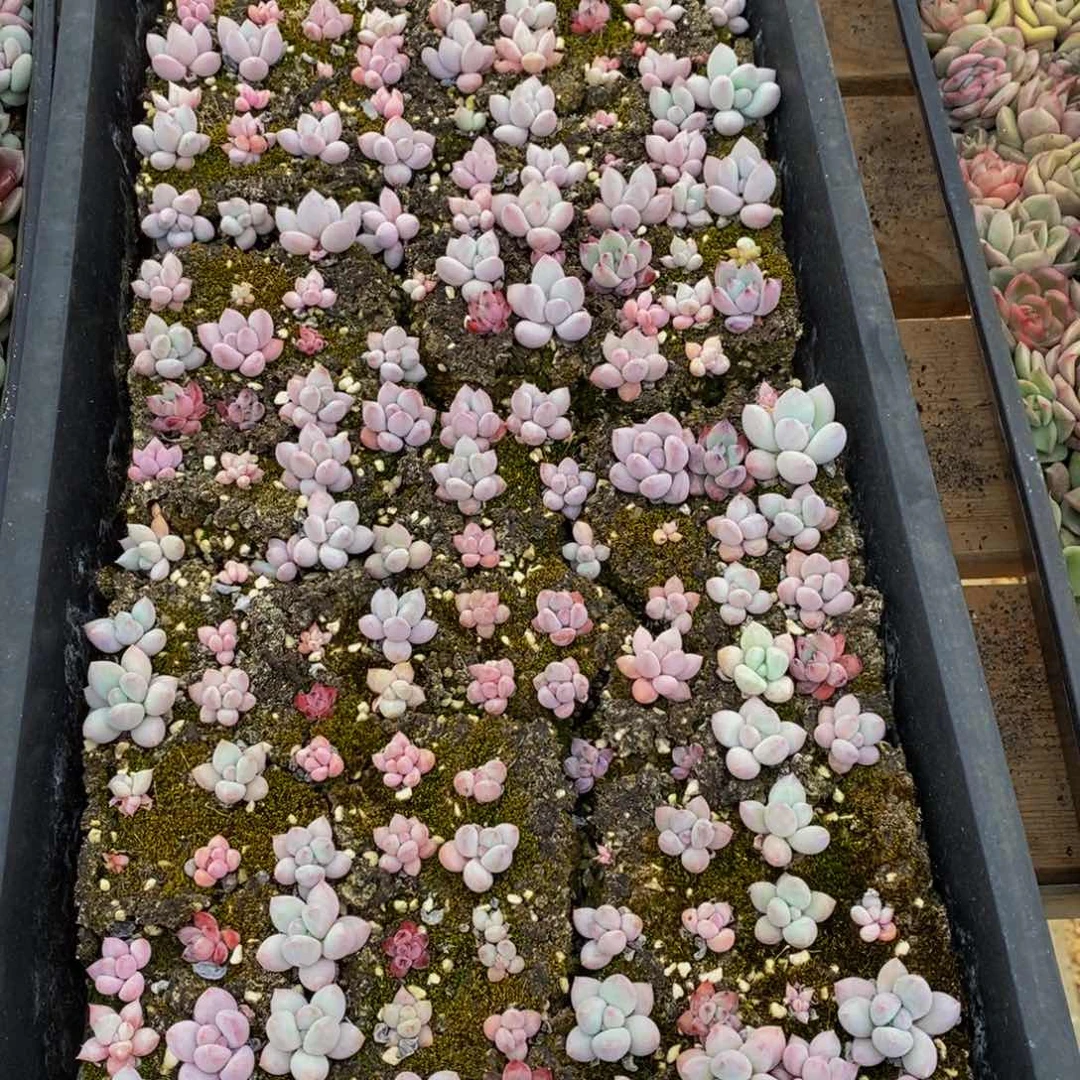 772多人在一起的时候我就