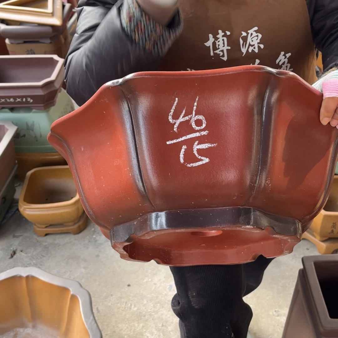 花盆紫砂盆景艺术