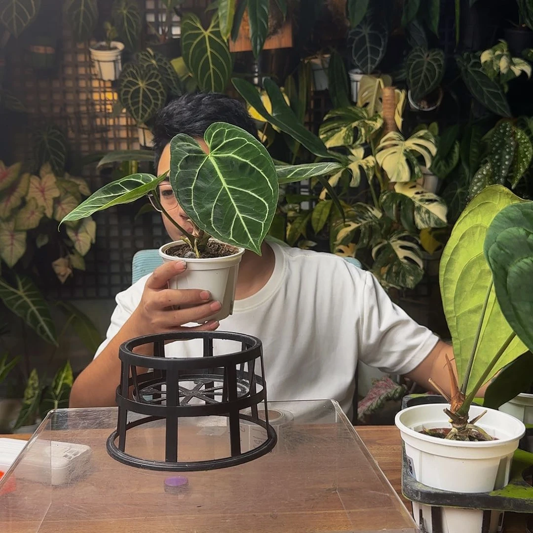 政***人无花朵一物一拍P152