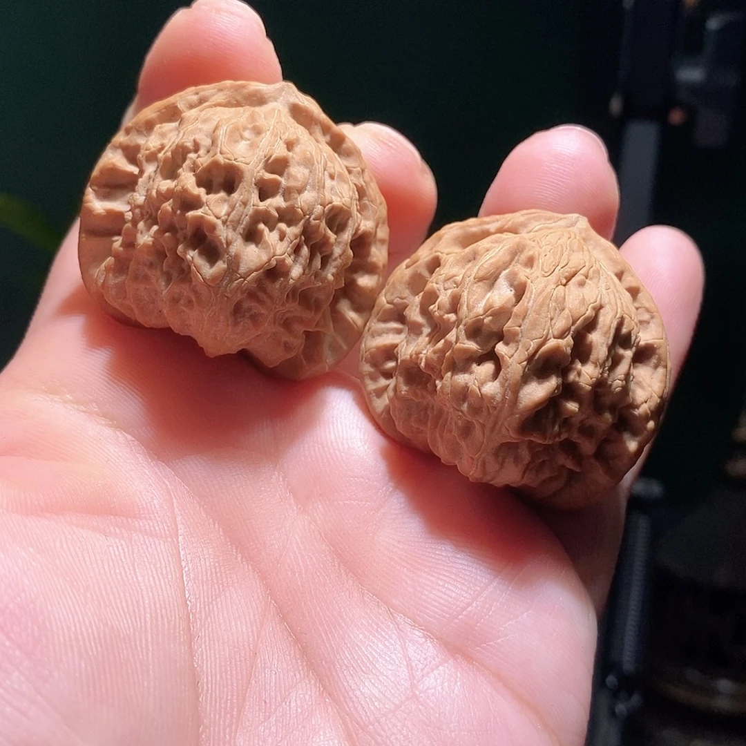 把件文玩核桃40三角白全品