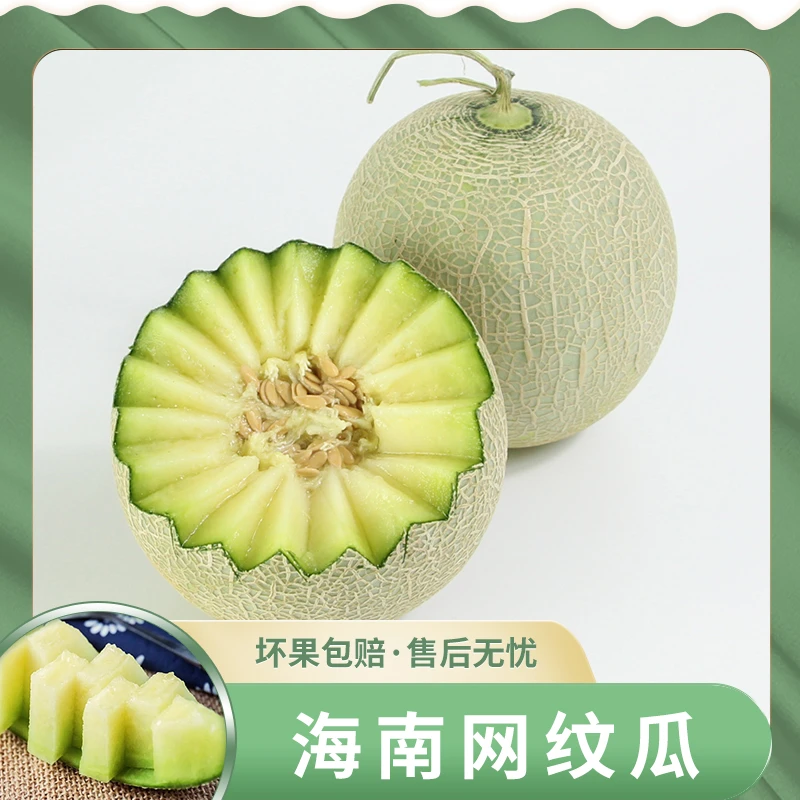 海南网纹瓜4.5-5斤约2-3个瓜新鲜现摘产地直发