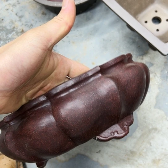 紫砂花盆漂亮漂亮