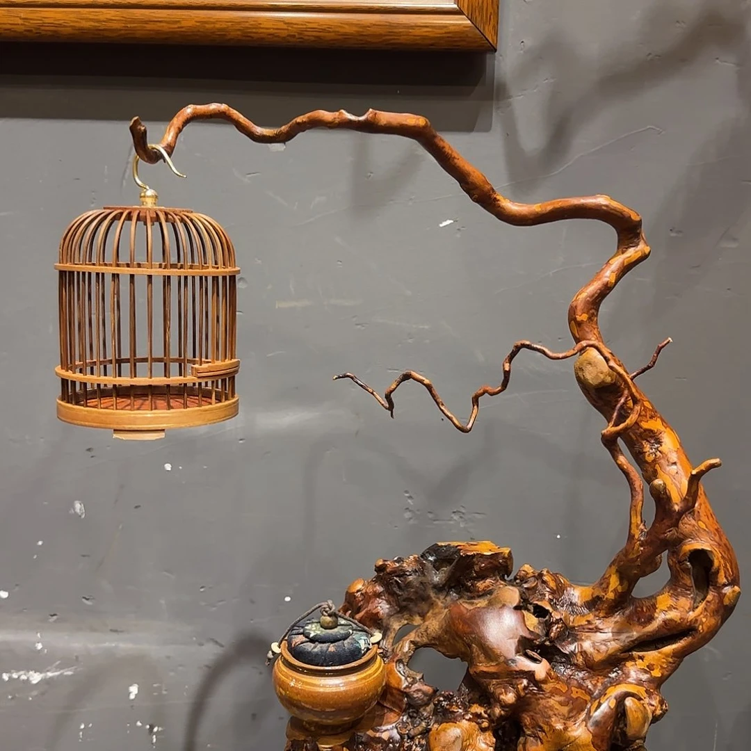 木F****O一物一拍实物实拍