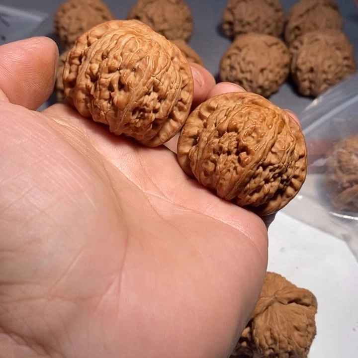 把件文玩核桃白狮子
