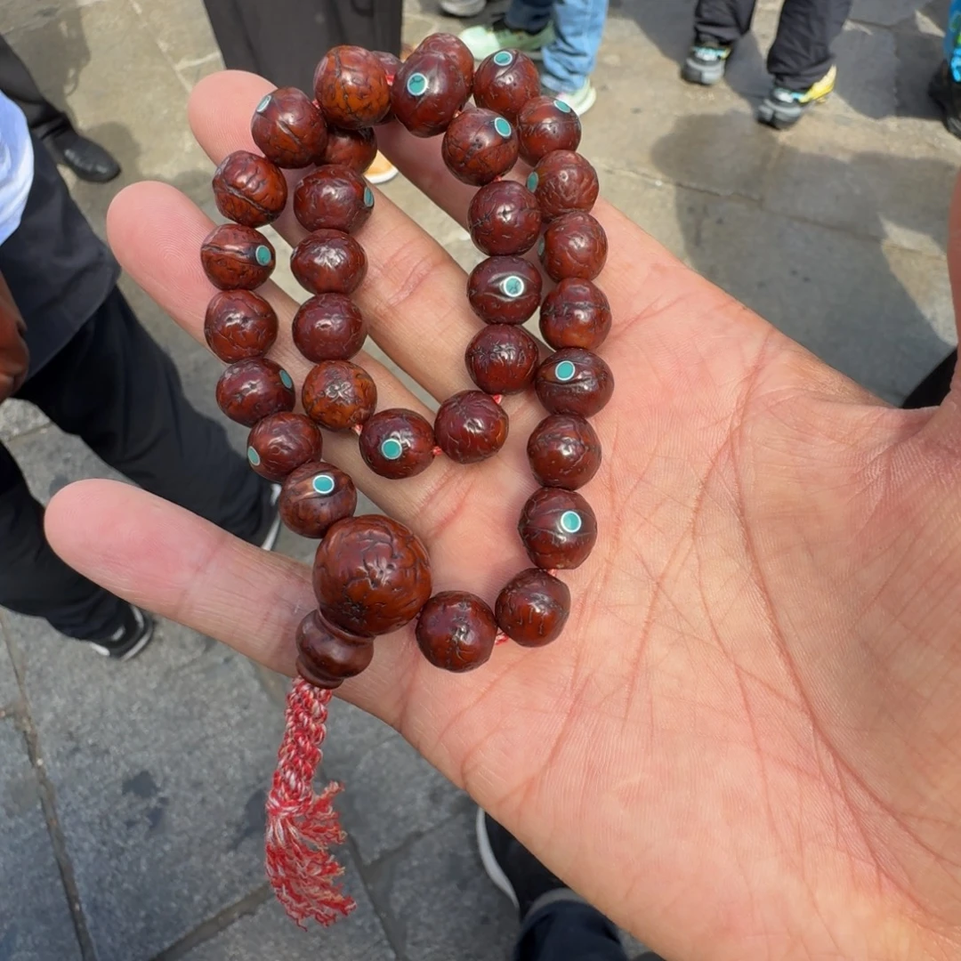 星月菩提手串菩提树等树木的生长发育和生长