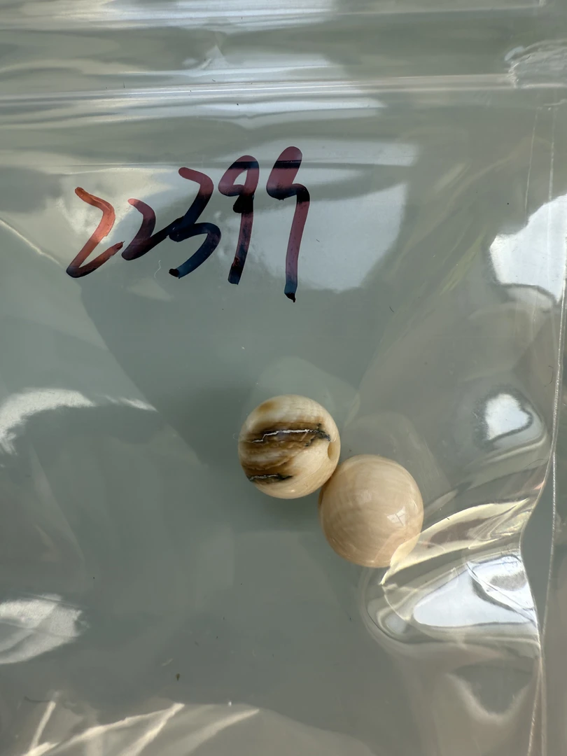 22399天然猛犸牙对珠瑕疵配饰介意勿拍