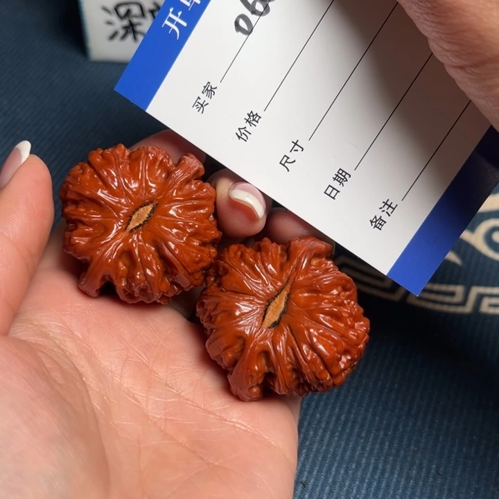 小洁，文玩核桃，43白狮子，066