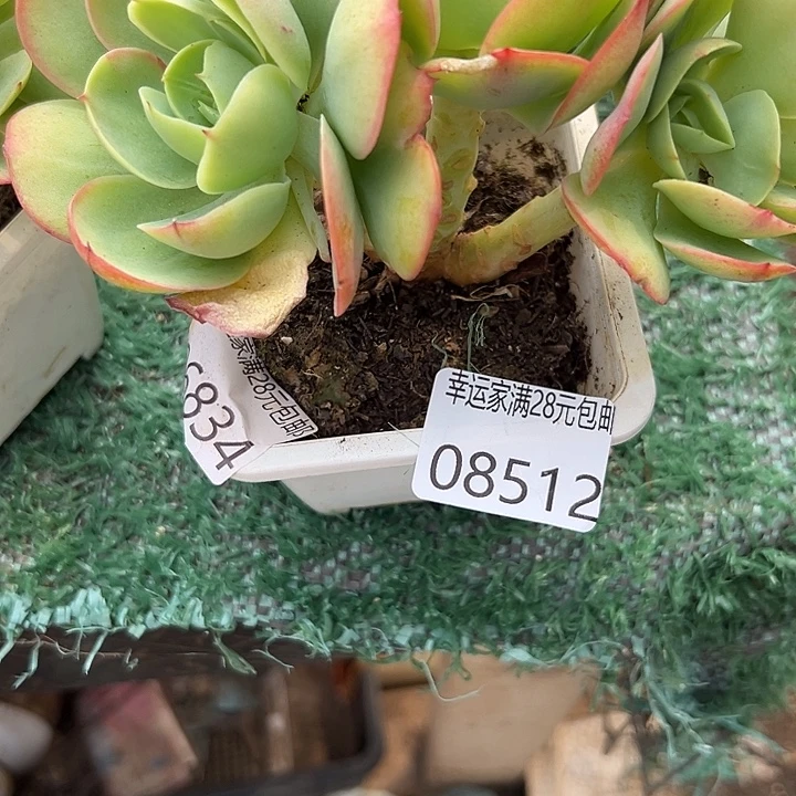 幸运的是我还没遇到
