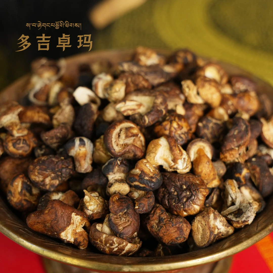 【甜粉专享】海拔4500米真野生珍品珍珠菇特级200g